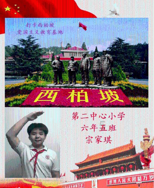 紫苏虽其貌不扬,但做菜时常放它,身体往往会收获4大好处!