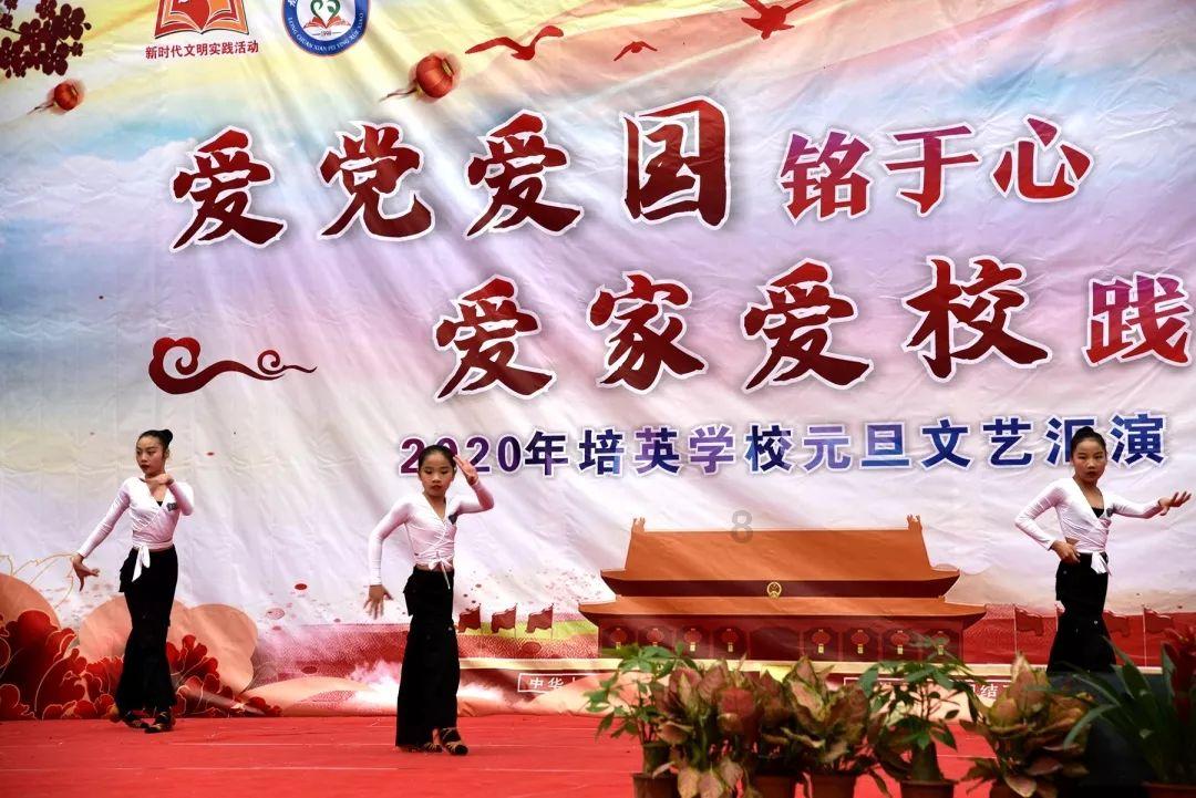 可爱的小考拉